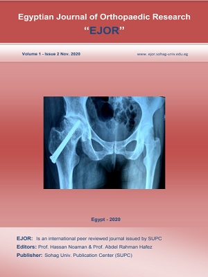 Egyptian Journal of Orthopedic Research